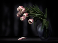 Tulips  Vase.jpg
