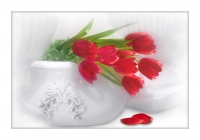 Tulips in Pot.jpg
