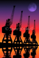 Cranes-5