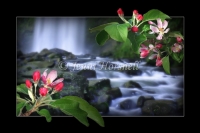 Flowing-5