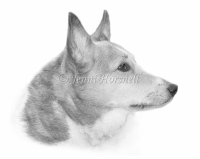 Jemma-5