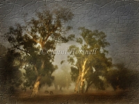 Morning-Mist-1