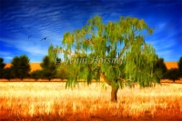 The-Tree-1