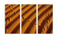 Tracks.jpg