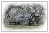 Wallaces Hut.jpg