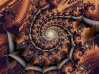 144_3