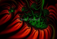 Red-Hot-Chillies