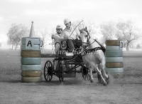 Carts-0104