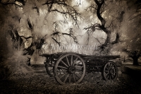 IR-Wagon-0286