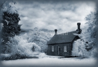 Infrared-Garden