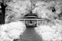 Rotunda-2