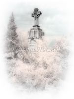 Shrine
