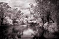 The-River
