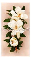 Painted Magnolias