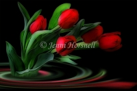 Tulip Swirl