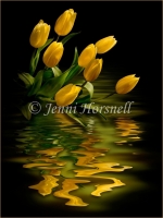 Yellow Tulips 2